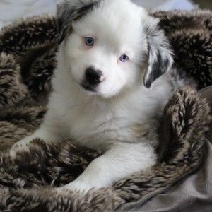 Meet your Posher, Loribeth